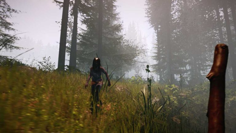 Anunciado The Forest para PS4